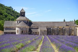 Lire la suite à propos de l’article Naissance de SAGA en terre Vauclusienne