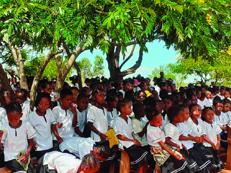 Lire la suite à propos de l’article Action solidarité Madagascar : les projets avancent à Fierenana !