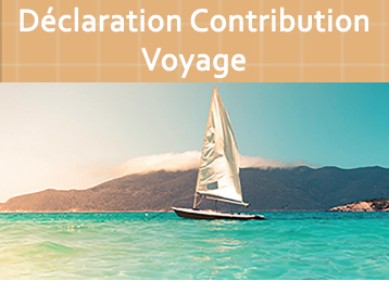 Déclaration Contribution Voyage