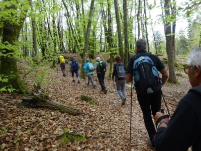 Lire la suite à propos de l’article Formation animateur rando-promenade