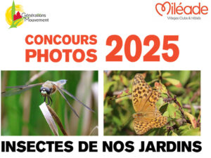 Lire la suite à propos de l’article Concours photos 2025 les résultats !